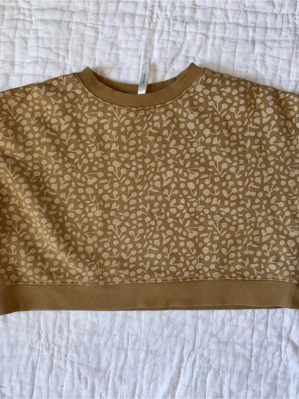 Rylee + Cru Cropped Floral-Print Sweatshirt